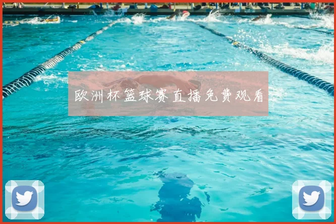 欧洲杯篮球赛直播免费观看