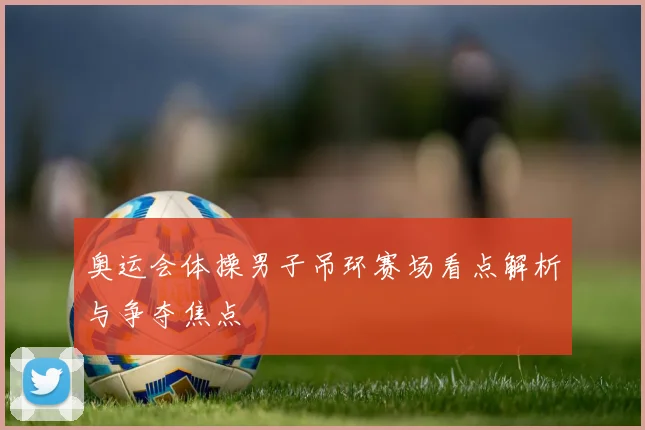 奥运会体操男子吊环赛场看点解析与争夺焦点