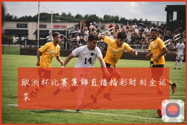 欧洲杯比赛集锦直播精彩时刻全记录