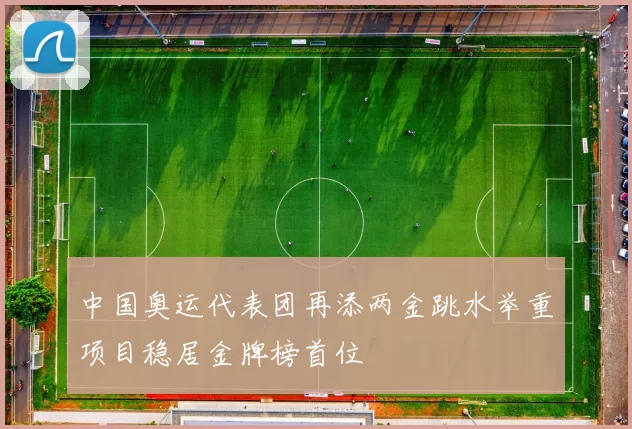中国奥运代表团再添两金跳水举重项目稳居金牌榜首位