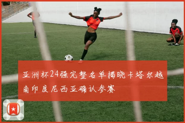 亚洲杯24强完整名单揭晓卡塔尔越南印度尼西亚确认参赛