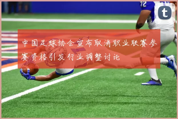 中国足球协会宣布取消职业联赛参赛资格引发行业调整讨论